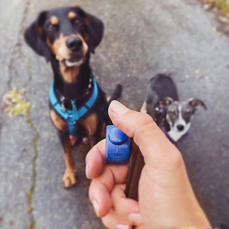 【F】New Ring Clicker Pet Mini F - Training Clicker Dog review and price